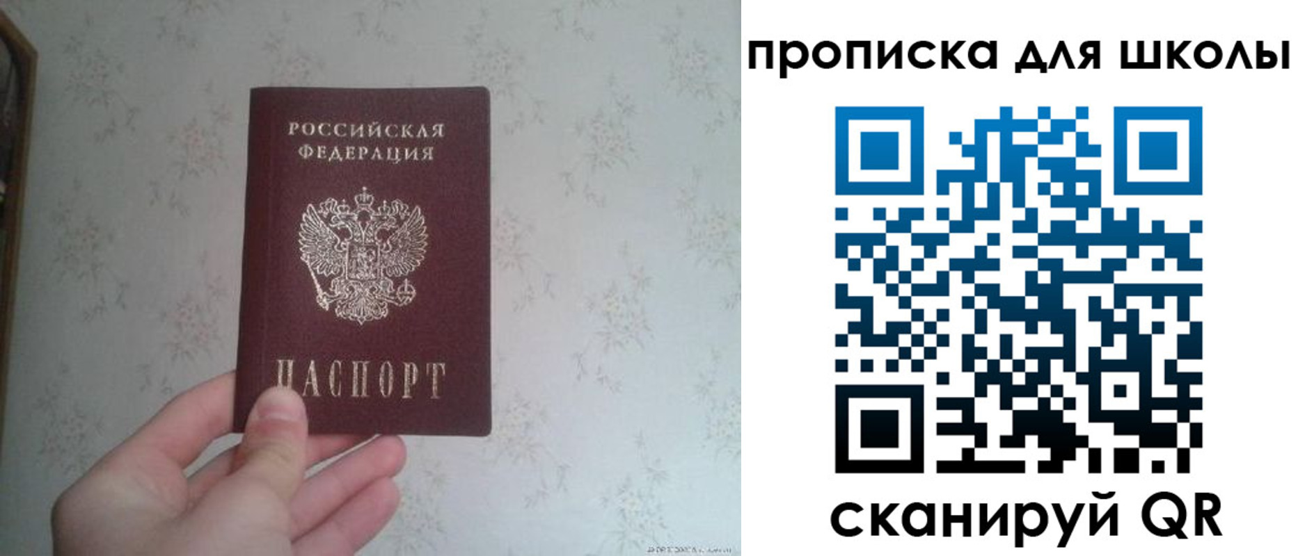 прописка в квартире в Заринске
